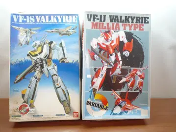 VF-1S 발키리 & VF-1J 밀리아 타입