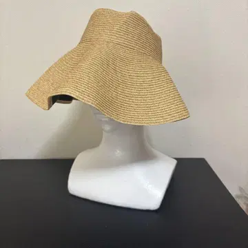 선배리어 100 선바이저