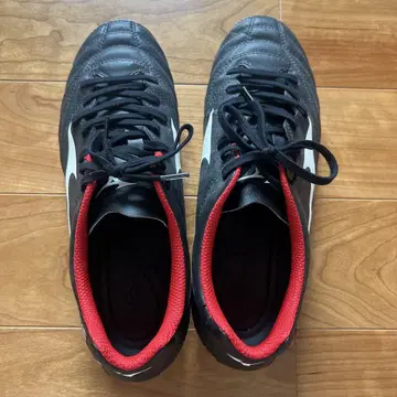 미즈노 모나르시다 네오 III 26cm
