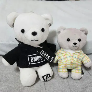비 퍼스트 곰 JUNON