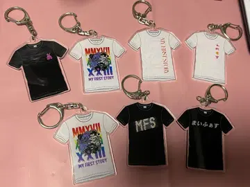 마이파스 키링