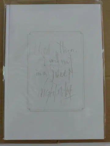 NIGHTMARE 'NOT THE END' 도쿄 체육관에서 배포된 팜플렛