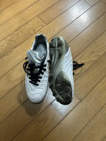 Mizuno 리뷰어 v1 일본