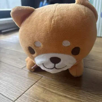 오렌지 컬러의 봉제 인형 개