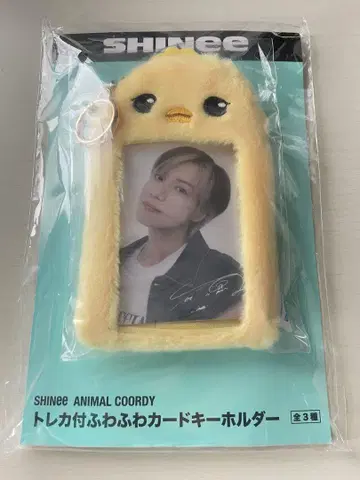 SHINee 애니멀 코디 트레이딩 카드 포함 푹신푹신 카드 키링 태민