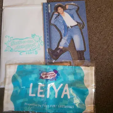 Back to the Memories Part 5 LEIYA 세트