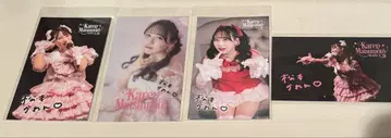마츠모토 카렌 생일