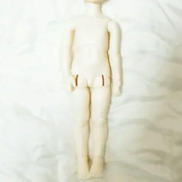 보크스 DearSD 바디