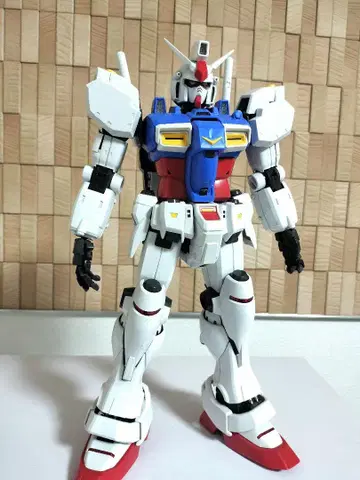 PG GP01