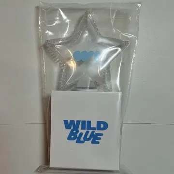WILDBLUE 응원봉