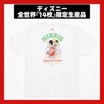 DISNEY MY HOME TOWN COLLECTION 와카야마현 티셔츠
