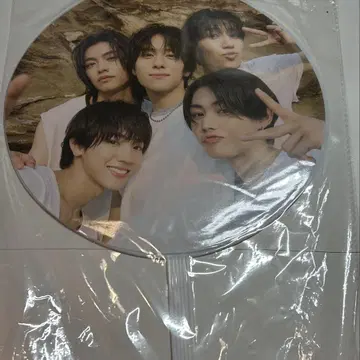 WILDBLUE 부채