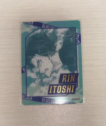 블루 록 파보카 중국 재판매 이토시 린 금박