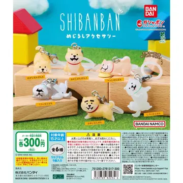 시반반 메지루시 액세서리 전 6종 세트