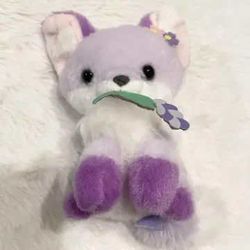 네이비와 여우 라벤더