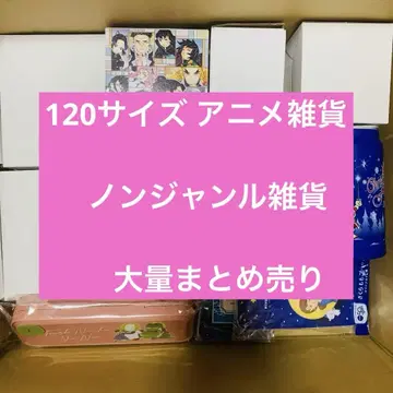 120 사이즈 애니메이션 굿즈 비장르 대량 묶음 판매