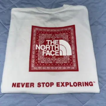 THE NORTH FACE 반다나풍 티셔츠 L 사이즈