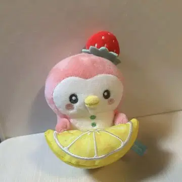 제오참 포포 후르츠
