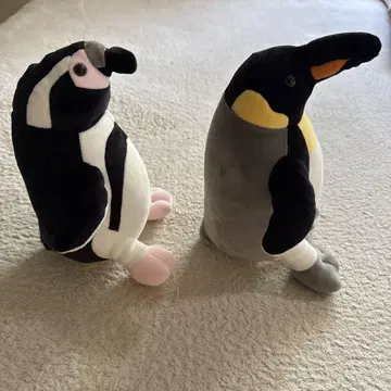 동물원 펭귄 봉제 인형