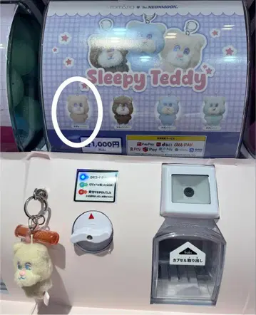 베이지 쓰리피 테디 롬앤 핑크 오피스 rom&nd