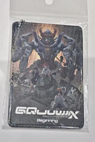 지크 액스 패스 케이스