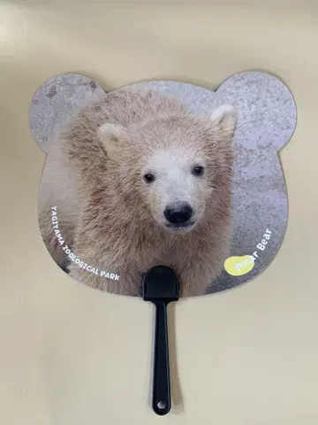 야기야마 동물공원 쌍둥이 북극곰 부채