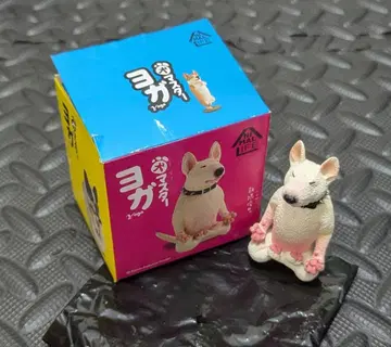 아사쿠마 요가 마스터 불 테리어