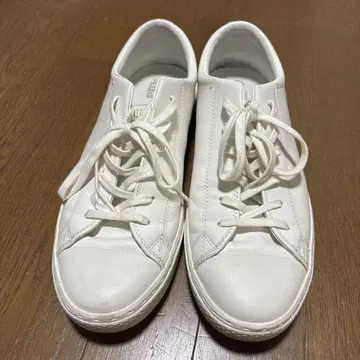 올스타 쿠페 26cm 가죽 컨버스