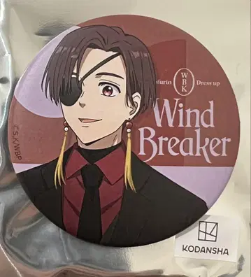 WIND BREAKER 소프맵 드레스업 매트 캔뱃지 소샹샹