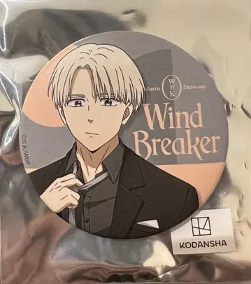WIND BREAKER 소프맵 드레스업 매트 캔뱃지 카지 렌