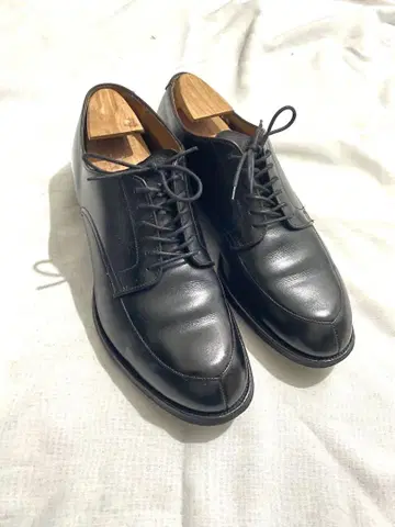 Alden Algonquin V 칩 9E 알든 모디파이 라스트