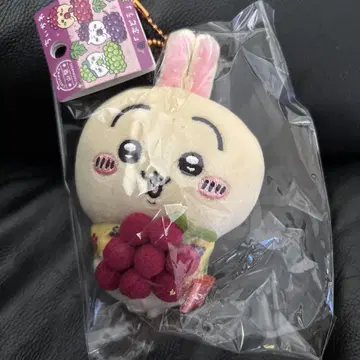 치이카와 토끼 야마나시 한정판 지역 특산품 포도 봉제 인형 키체인