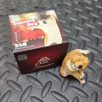 춤추는 개 아사쿠마 차우차우