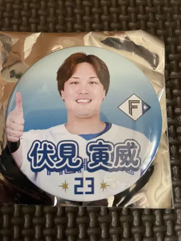 후시미 토라오 좋아해요 캔뱃지