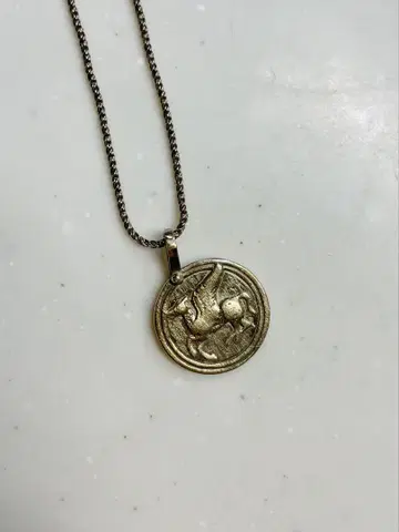 Temple of the sun 템플 오브 더 선 유니콘 목걸이