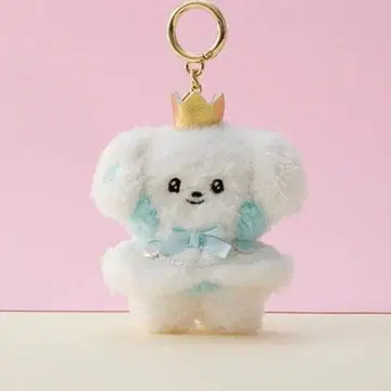 ZERONI 구니니 구빈 제로니 봉제 인형 ZB1 프린스