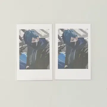 Crazy raccoon CR 셀피 카드 vanilla 2장