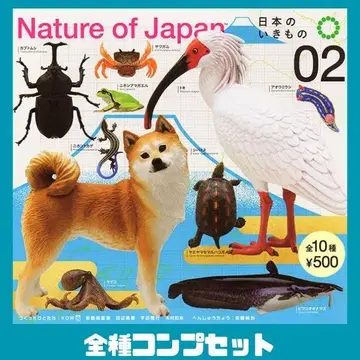 NATURE OF JAPAN 일본 생물 2 전 10종 컴프 세트