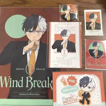WIND BREAKER 벚꽃 하야 Dress up ver.