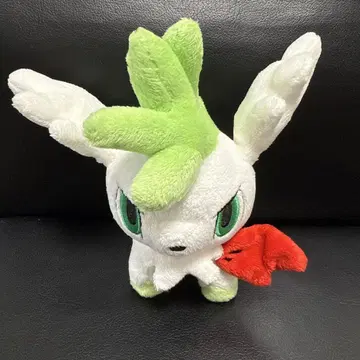 셰이미 봉제 인형