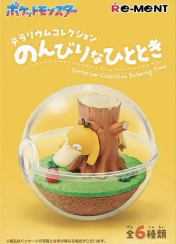 느긋한 시간 테라리움 컬렉션 코닥