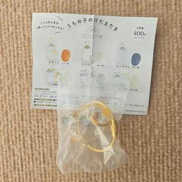 우리 집 고양이 삼색 고양이