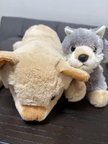 봉제 인형 세트