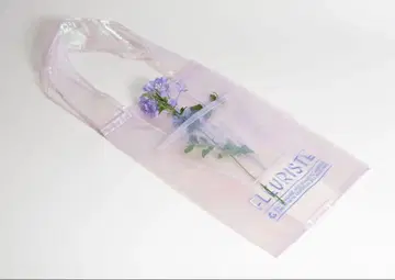 브리짓 타나카 에코백