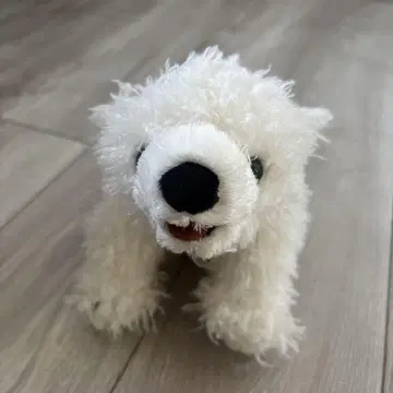 어드벤처 월드 북극곰 봉제 인형