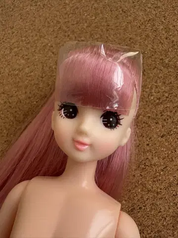 리카짱 캐슬 리틀 팩토리 오타노시미 인형 히나짱