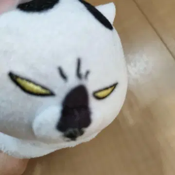 개와 고양이를 모두 키우면 매일 즐겁다 고양이 봉제 인형 마스코트 BC