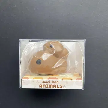 모니마루즈 카피바라 씨 노스노스