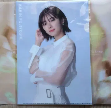 후지요시 카린 클리어 파일