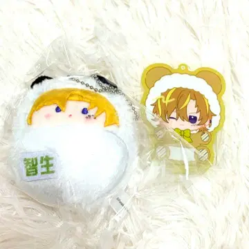 파라라이 타피누이 지세이